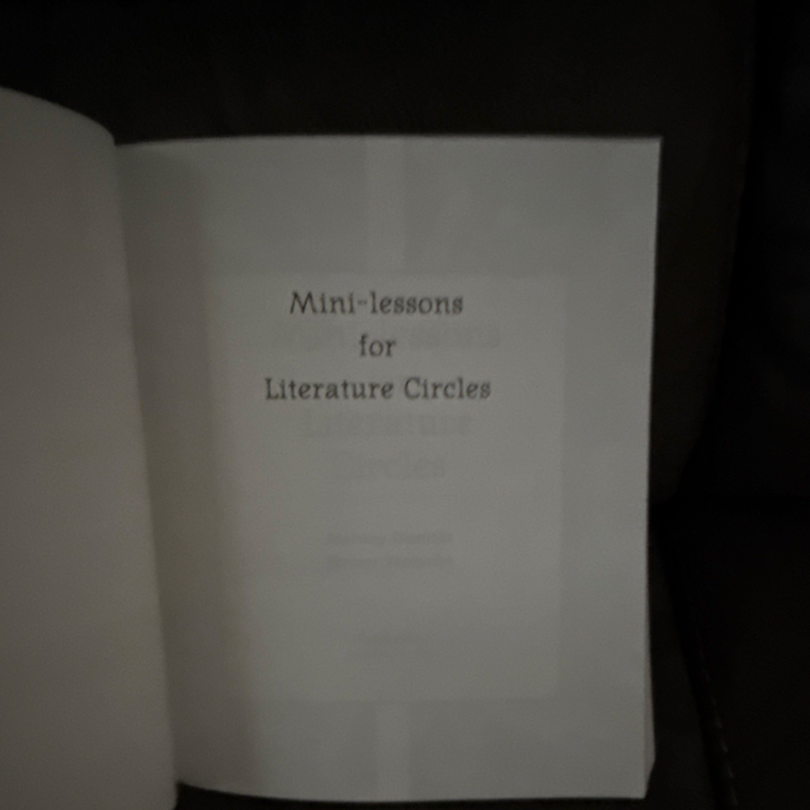 Mini-Lessons for Literature Circles Daniels Steineke PB 2004 Heinemann