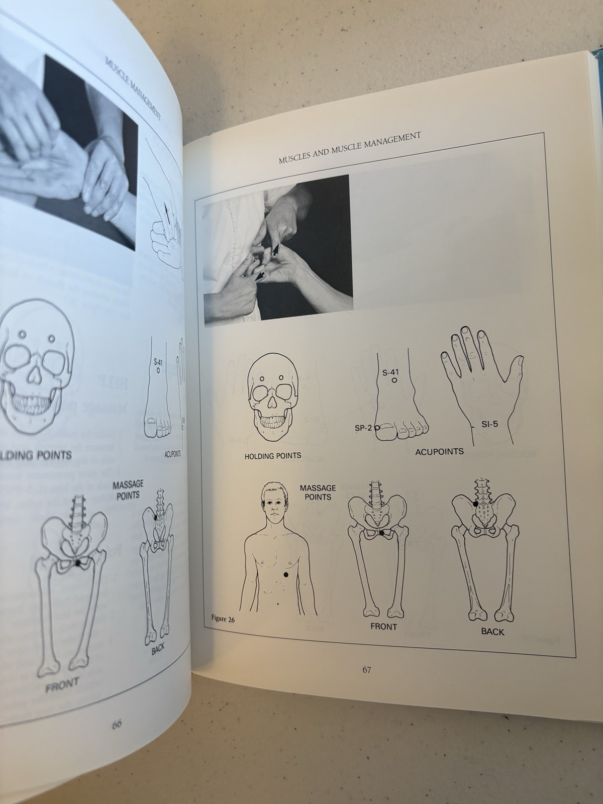 Muscle Management by Elizabeth Andrews Sports Injuries Athletic Potential
