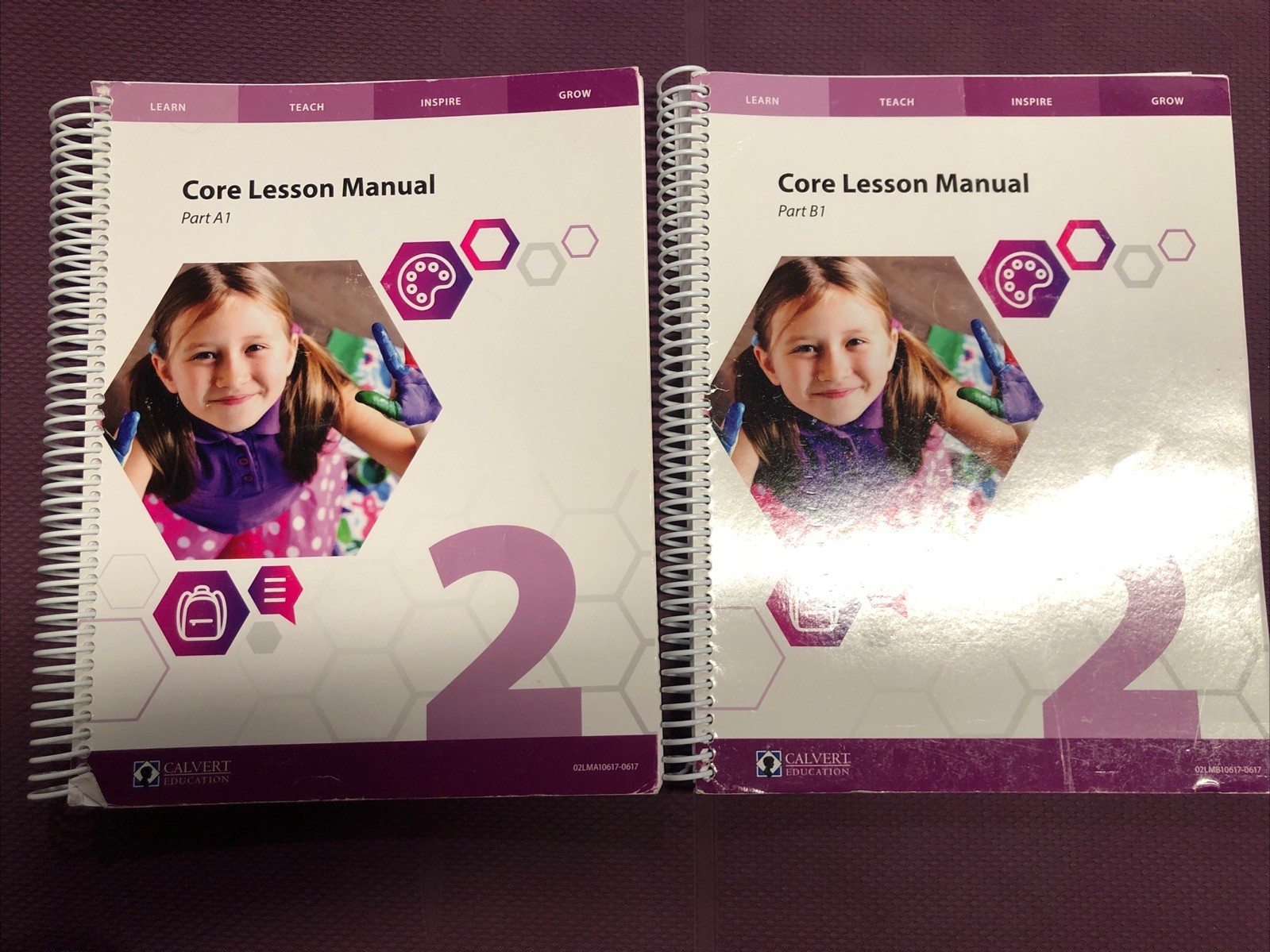 Calvert Homeschool Grade 2 Curriculum A1 And B1