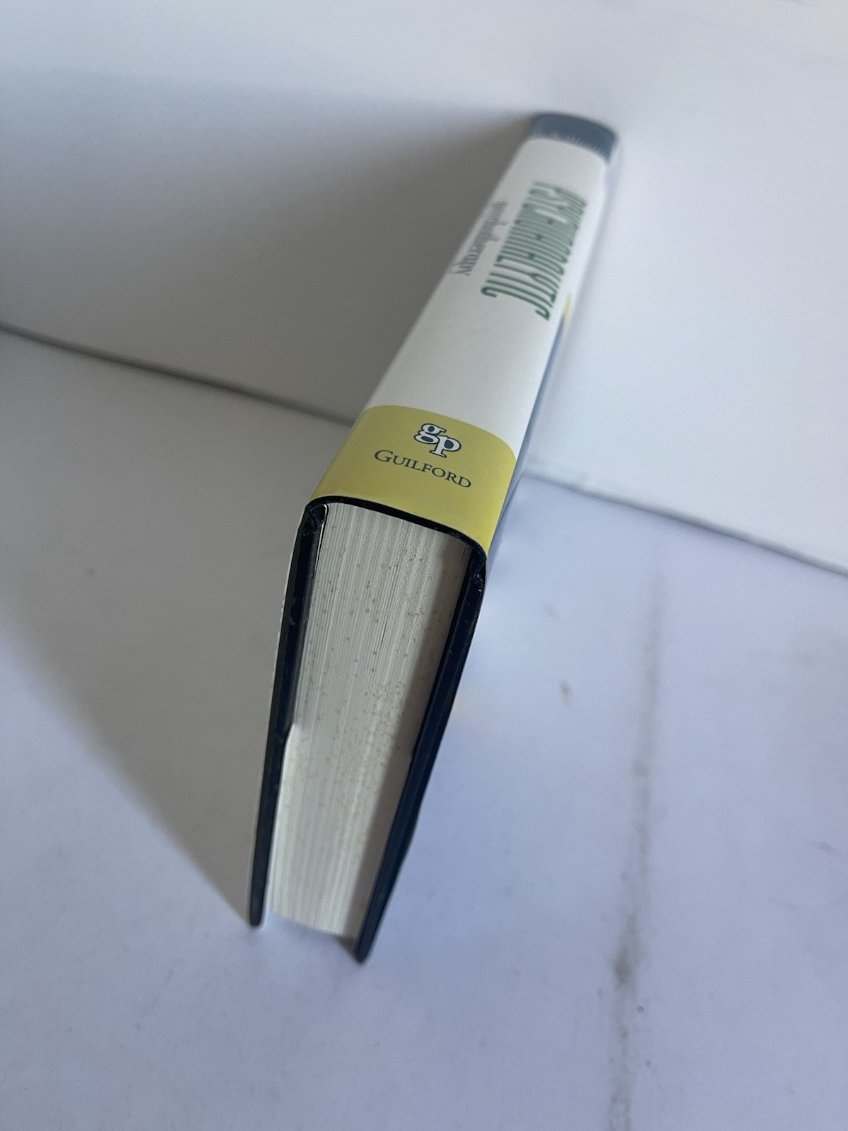 Psychoanalytic Psychotherapy : A Practitioner’s Guide 2004 Hardcover Dust Jacket