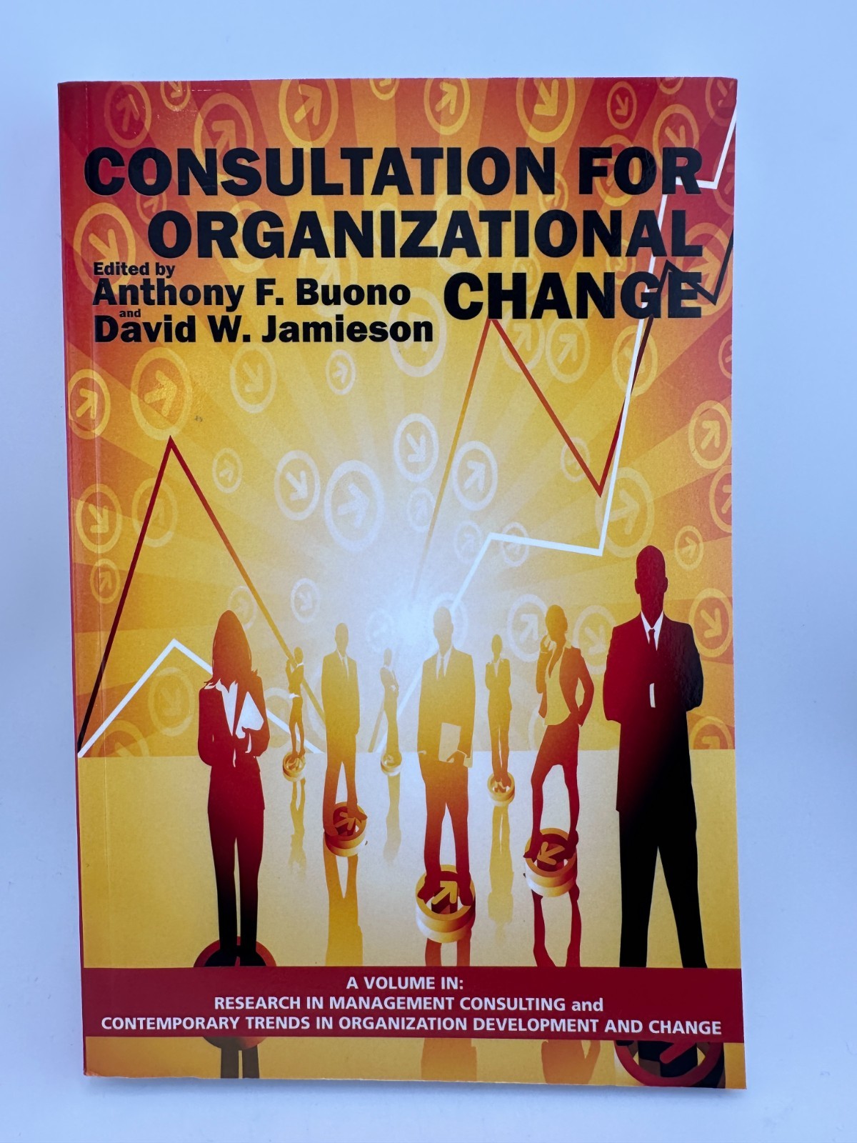 Consultation for Organizational Change Buono Jamieson 2010 Paperback Business