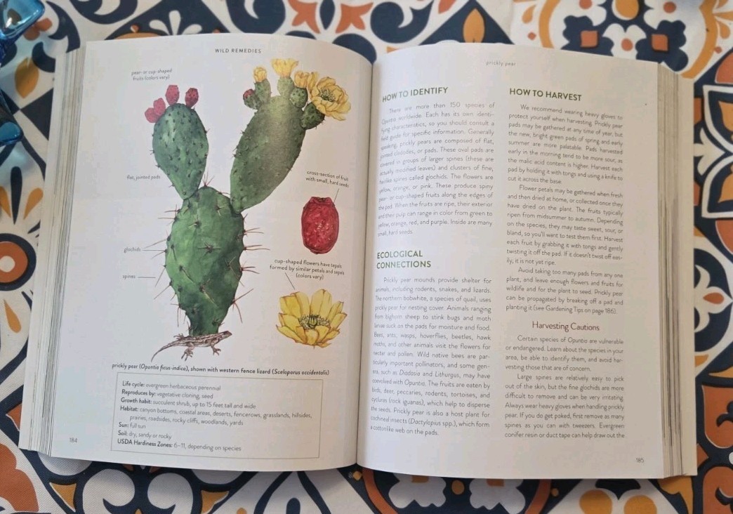 Wild Remedies Book Rosalie De La Foret And Emily Han Herbal Medicine Hay House
