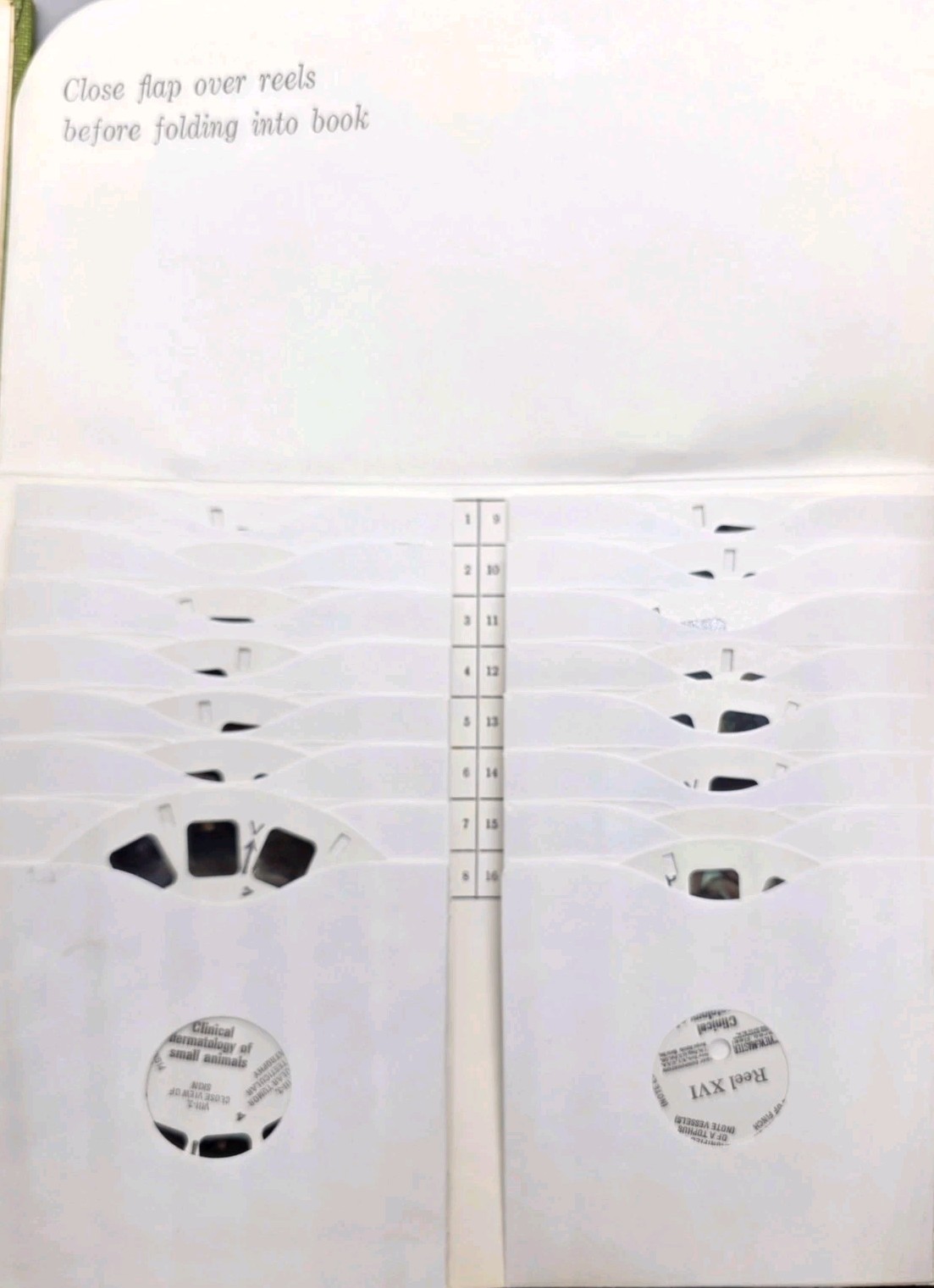 Clinical Dermatology of Small Animals: A Stereoscopic Presentation byGeorge …