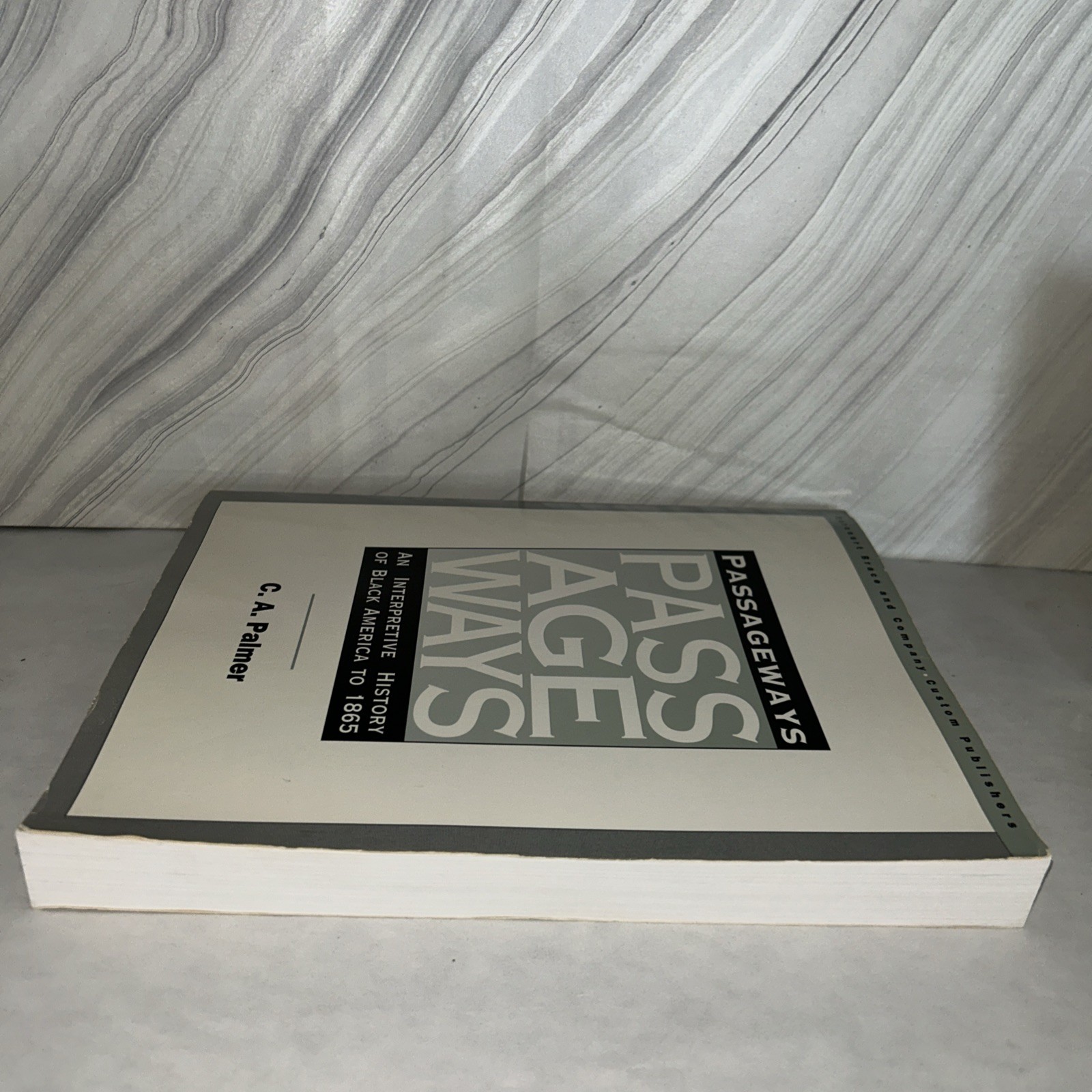 Passageways An Interpretive History Of Black America To 1865 by C.A. Palmer K2