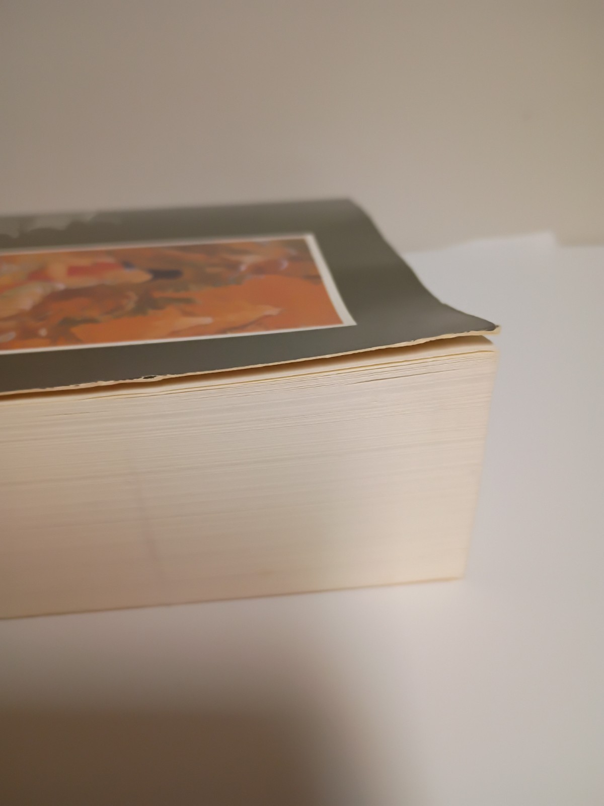 The Life of Shabkar: The Autobiography of a Tibetan Yogin Vintage Paperback