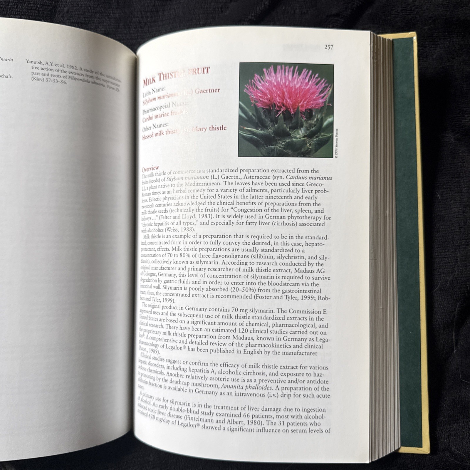 Herbal Medicine: Expanded Commission E Monographs by Blumenthal