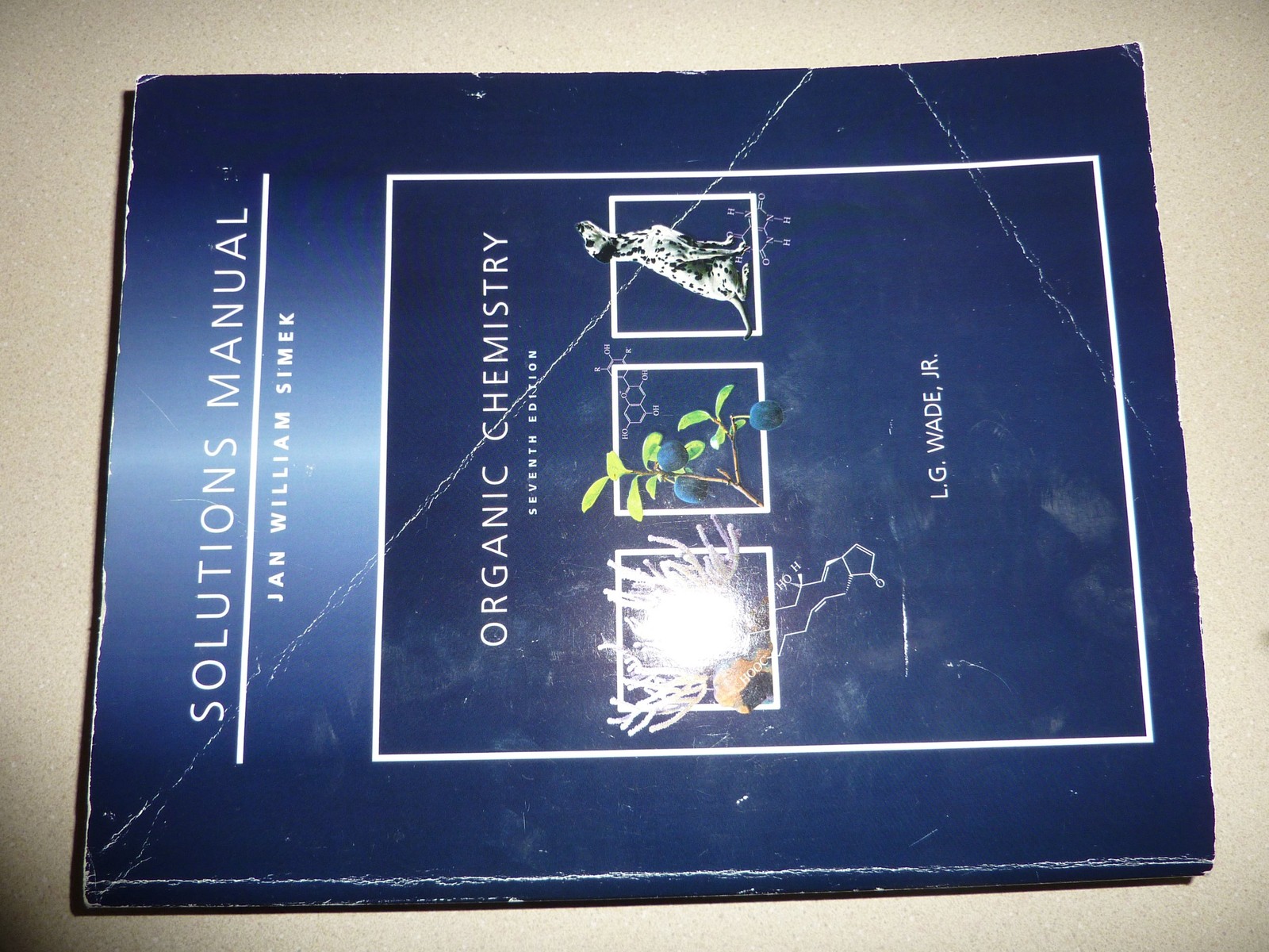 Solutions Manual for Organic Chemistry, 7th Edition – paperback Jan Simek|L….