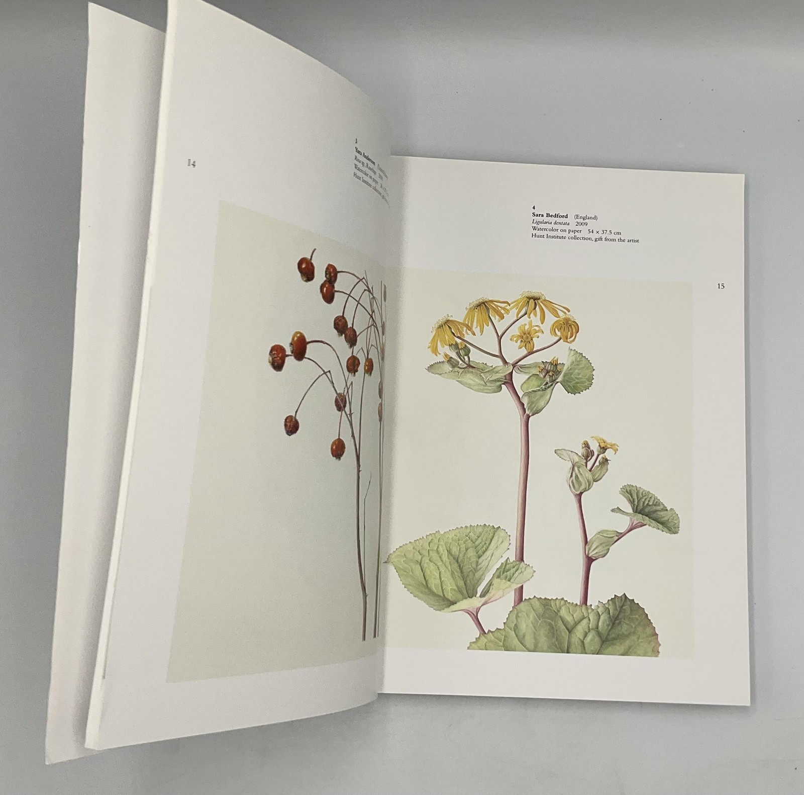 13th Intl Exhibition Botanical Art & Illustration Hunt Institute 2010 Cream PB