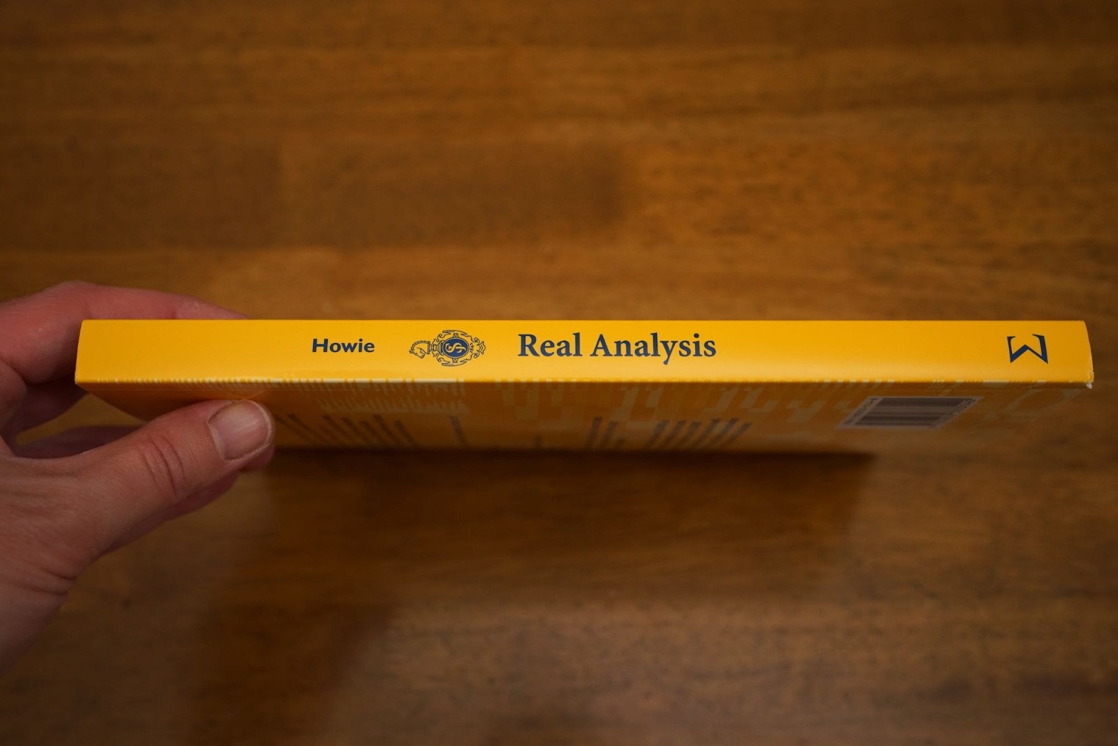MATHS – Springer – Real Analysis by John M. Howie – Excellent condition PB