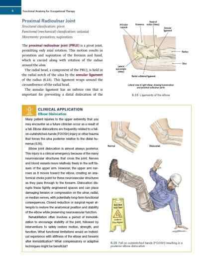Functional Anatomy for Occupational Therapy – 1st Edition